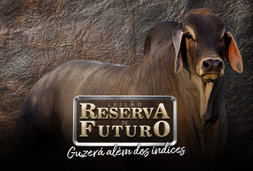 LEILÃO RESERVA DE FUTURO